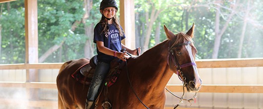 New Equestrian New Equestrian