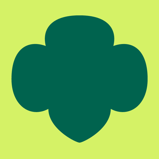 Winter Chess Camp For Daisies And Brownies-Online