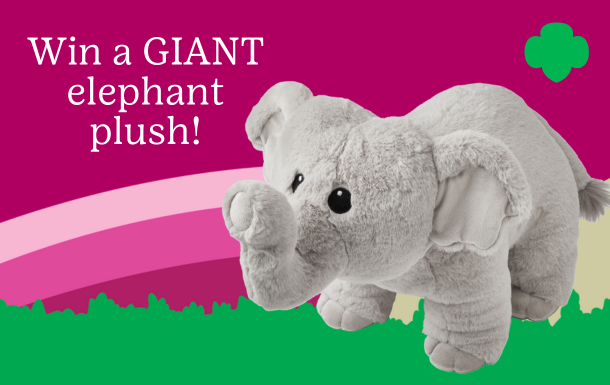 graphic with a cartoon elephant and text that says Fall Product Program BINGO